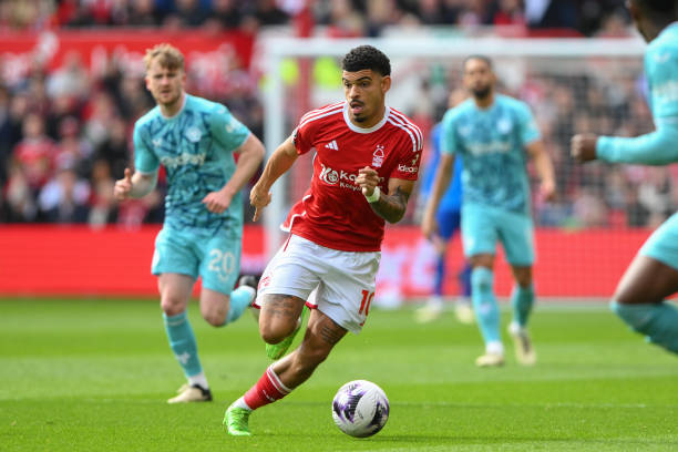 好的心理素 好的心理素