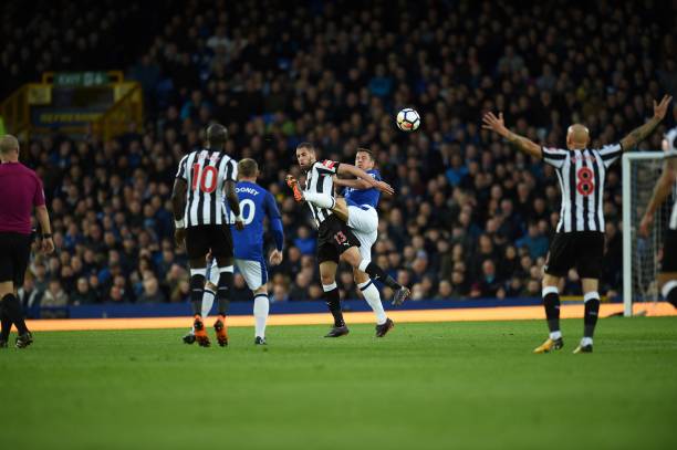 的希望大增 的希望大增