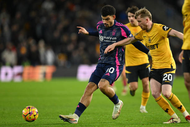 的活力与可 的活力与可